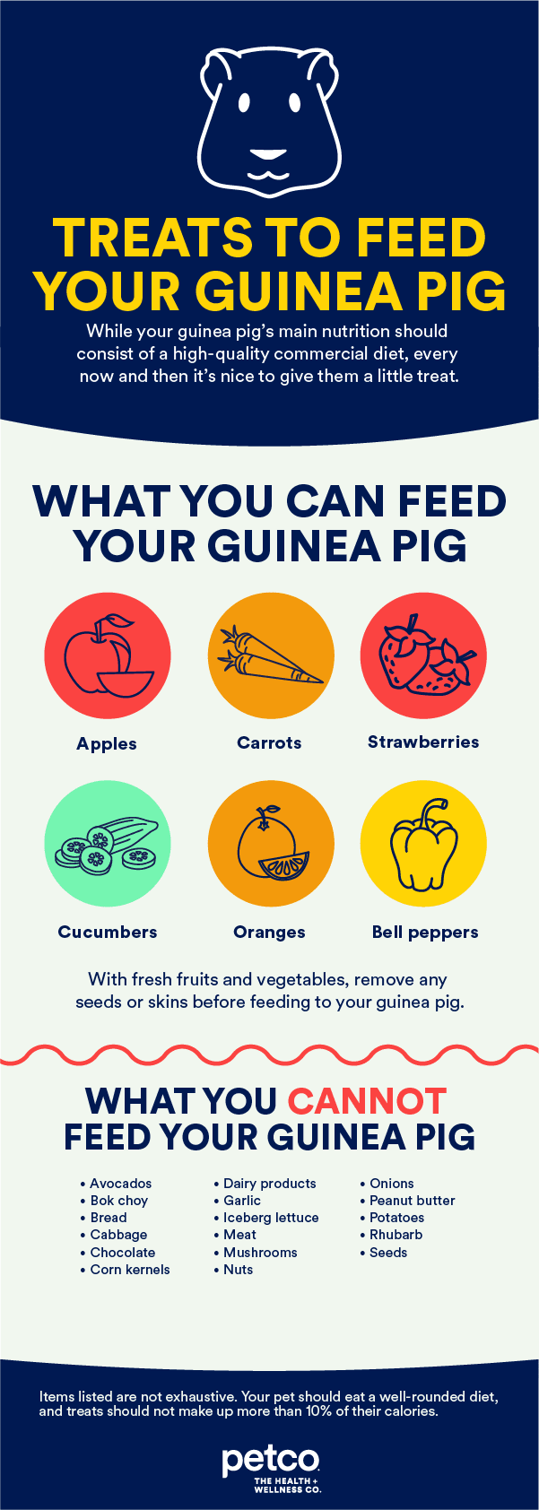 Guinea pig 2025 treats list